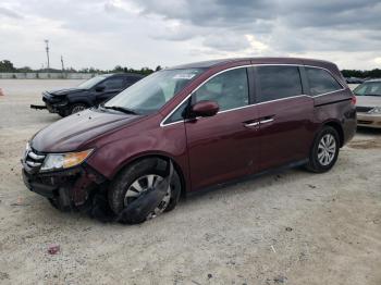  Salvage Honda Odyssey