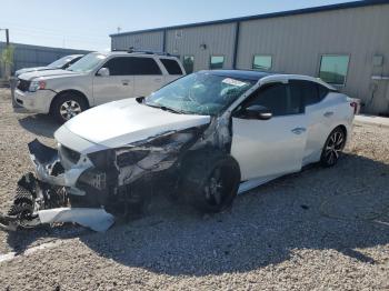  Salvage Nissan Maxima