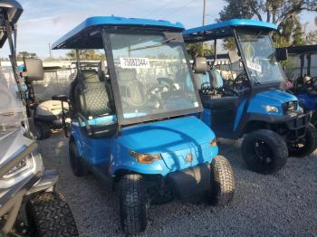  Salvage Other Golf Cart