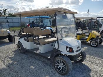  Salvage Other Golf Cart