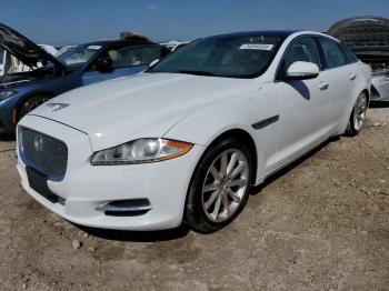  Salvage Jaguar XJ