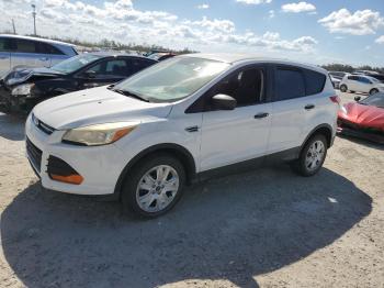  Salvage Ford Escape