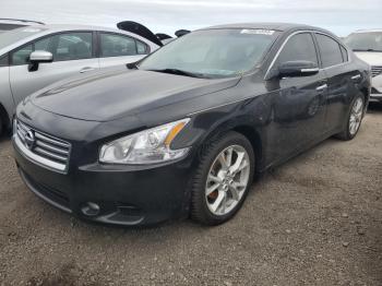  Salvage Nissan Maxima