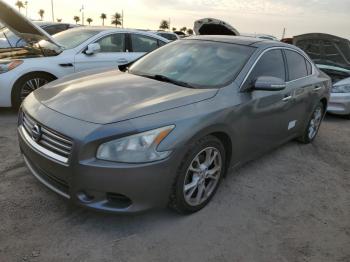  Salvage Nissan Maxima