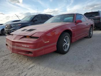  Salvage Pontiac Firebird