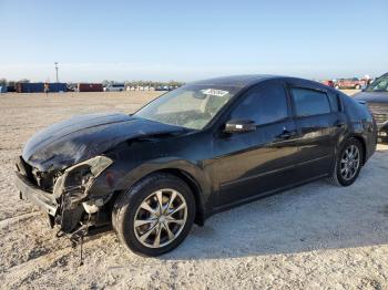  Salvage Nissan Maxima