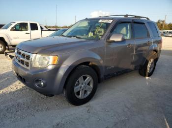  Salvage Ford Escape