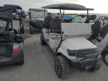  Salvage Other Golf Cart