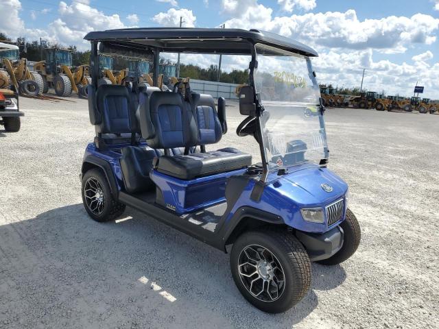  Salvage Evol Golf Cart