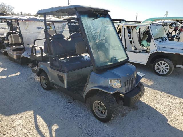  Salvage Tomb Golf Cart