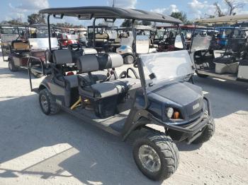  Salvage Asse Golf Cart