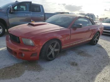  Salvage Ford Mustang