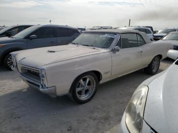  Salvage Pontiac GTO