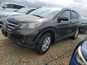  Salvage Honda Crv