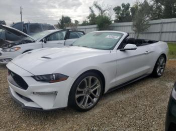  Salvage Ford Mustang