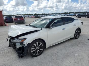  Salvage Nissan Maxima