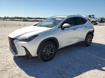  Salvage Lexus NX