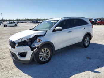  Salvage Kia Sorento