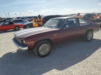  Salvage Chevrolet Nova