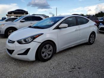  Salvage Hyundai ELANTRA