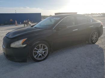  Salvage Nissan Maxima