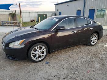  Salvage Nissan Maxima