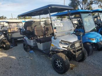  Salvage Other Golf Cart