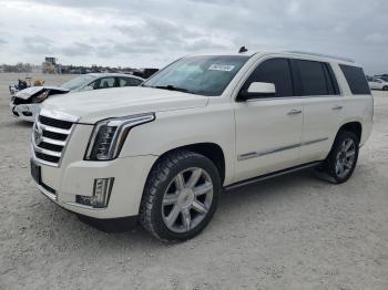  Salvage Cadillac Escalade