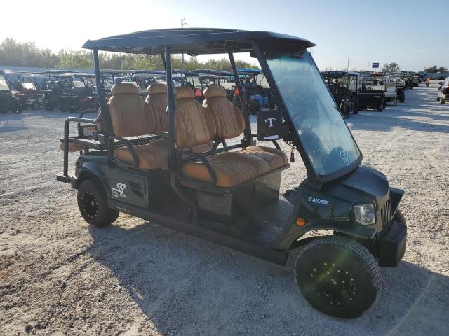  Salvage Tomb Golf Cart