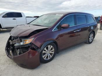  Salvage Honda Odyssey