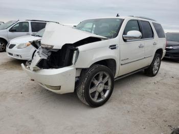  Salvage Cadillac Escalade