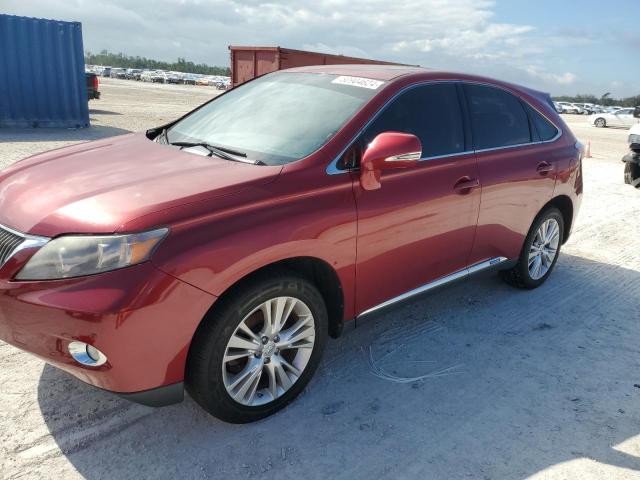  Salvage Lexus RX