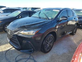  Salvage Lexus NX