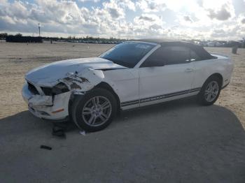  Salvage Ford Mustang