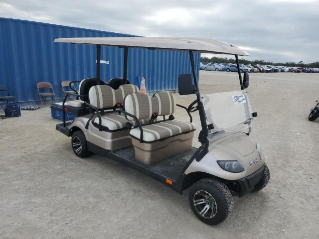  Salvage Icon Golf Cart