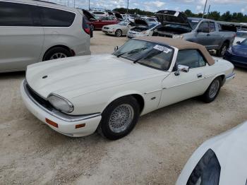  Salvage Jaguar Xjs