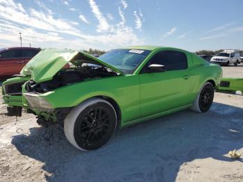  Salvage Ford Mustang