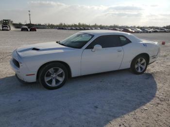  Salvage Dodge Challenger