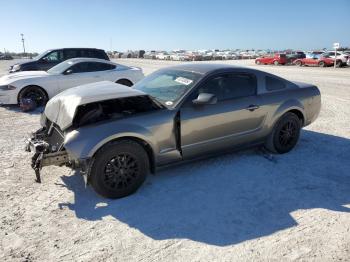  Salvage Ford Mustang