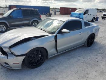  Salvage Ford Mustang