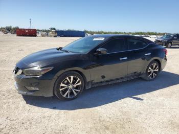  Salvage Nissan Maxima