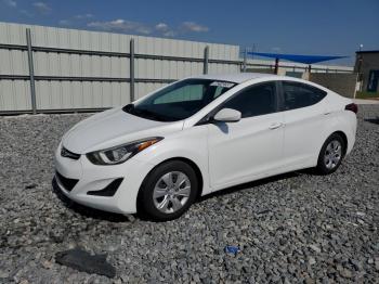  Salvage Hyundai ELANTRA