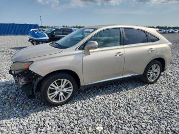  Salvage Lexus RX
