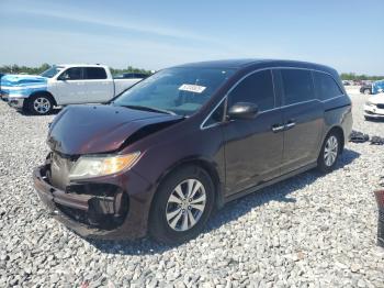  Salvage Honda Odyssey