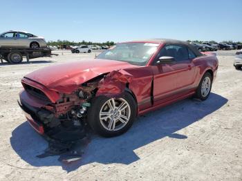 Salvage Ford Mustang