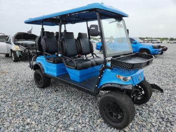 Salvage Grig Clubcar
