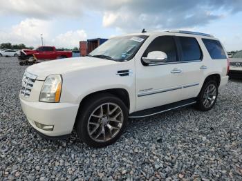  Salvage Cadillac Escalade