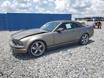  Salvage Ford Mustang