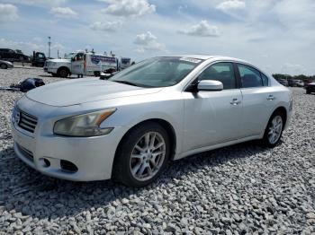  Salvage Nissan Maxima