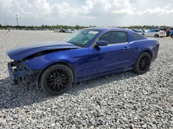 Salvage Ford Mustang